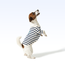HIT_PARISIAN PUP SHIRT